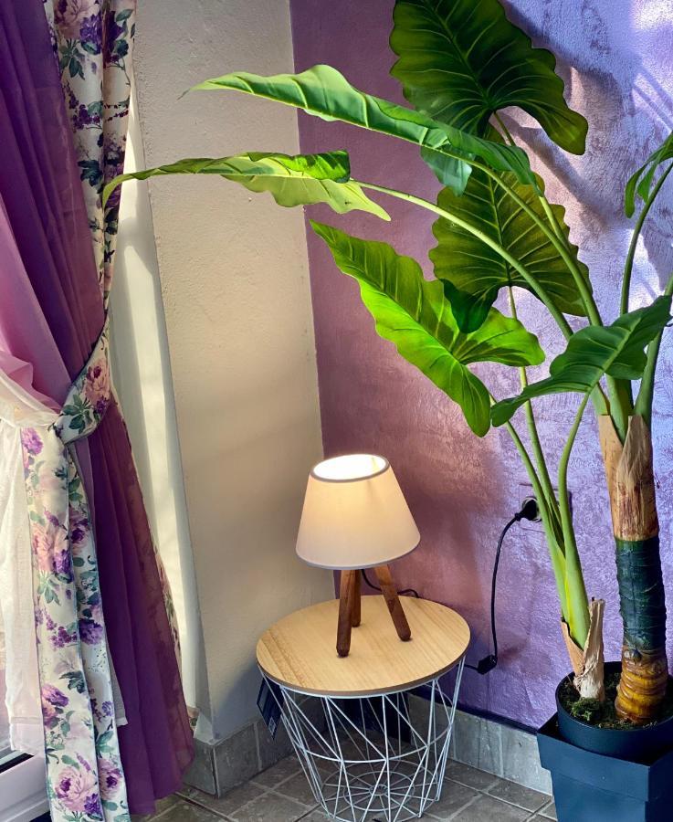Apartmani Maxim Kotor Buitenkant foto